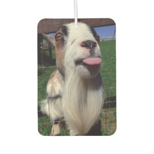 Cheeky Goat Luchtverfrisser