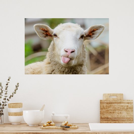 Cheeky grappige schaap die tong uitsteekt poster (Keuken)