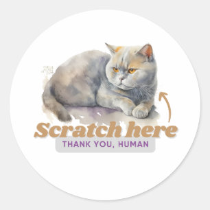 Cheeky kitten cadeaus voor kattenvaders ronde sticker