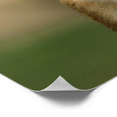 Cheeky Monkey - Cute Baby Baboon Poster / Imprimer (Coin)