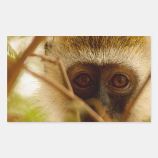 Cheeky Monkey. Rechthoekige Sticker (Voorkant)