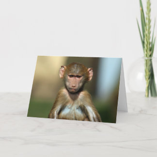 Cheeky Monkey - Schattigee Baby Baboon Kaart