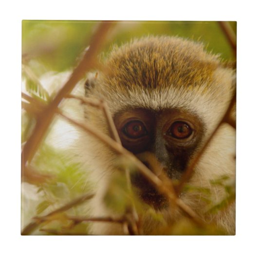 Cheeky Monkey. Tegeltje (Voorkant)