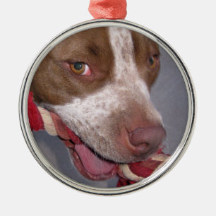 Cheeky Pitbull Metalen Ornament