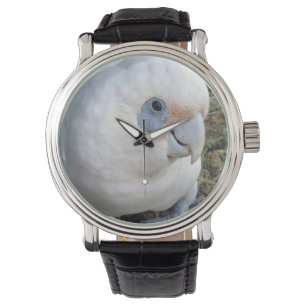 Cheeky White Cockato Horloge