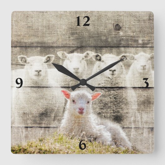 Cheep Baby Lamb Burlap Carré Horloge murale (Recto)