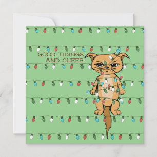 Cheer Cat Funny Tangled Kat in Xmas Lights Groen Feestdagenkaart