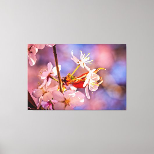 Cheerful Sakura Flowers Canvas Afdruk (Voorkant)