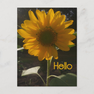 Cheerful Sunflower Briefkaart