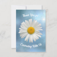 Cheerful White Daisy