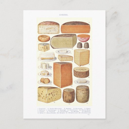  Cheese Illustration Briefkaart (Voorkant)