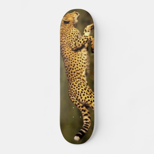 cheeta-stijl skateboard (Voorkant)