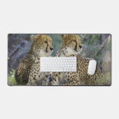 Cheetah (Clavier et souris)