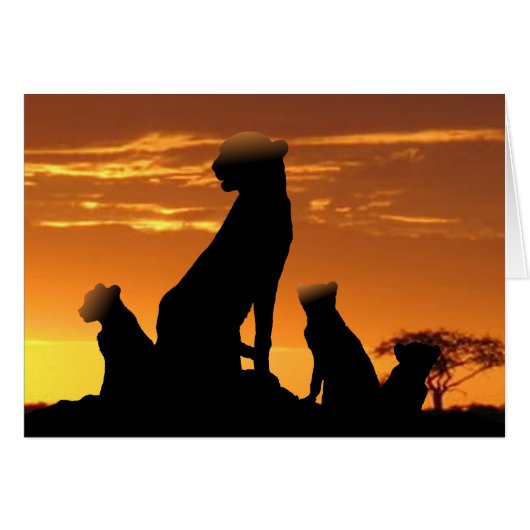 Cheetah (Voorkant Horizontaal)