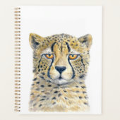 Cheetah (Devant)