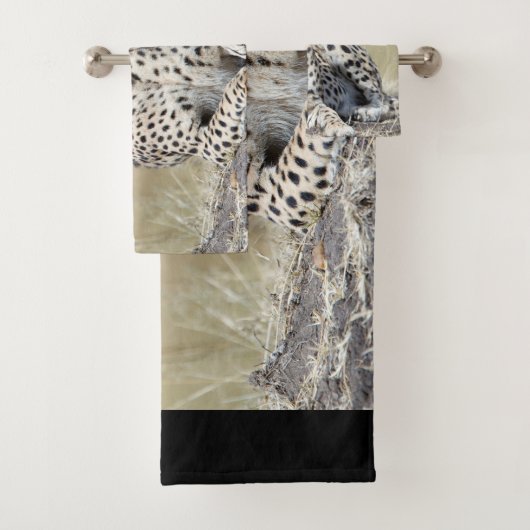 Cheetah (En situation)