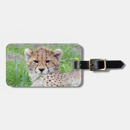 Cheetah20150904 Bagagelabel (Voorkant horizontaal)