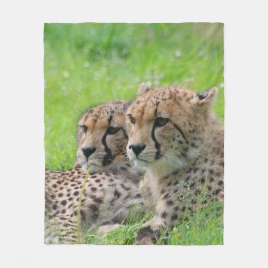 Cheetah 001 fleece deken (Voorkant)