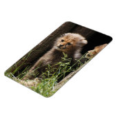 Cheetah 005 magneet (Linkerzijde)