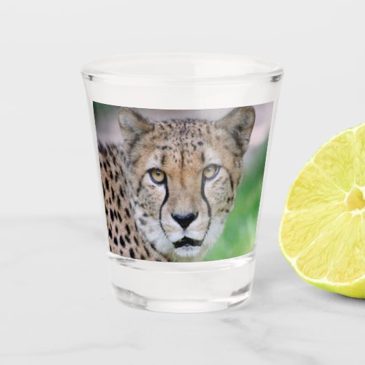 Cheetah 009 shot glas (Voorkant)