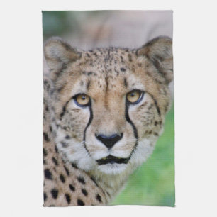 Cheetah 009 theedoek