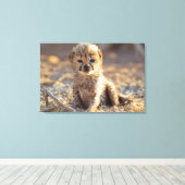 Cheetah 19 dagen oude mannelijke kubus canvas afdruk (Insitu (Houten vloer))