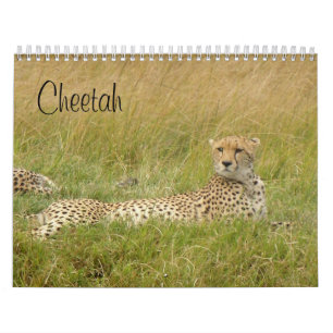 Cheetah 2008 kalender