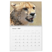 Cheetah 2025 kalender (Jan 2027)