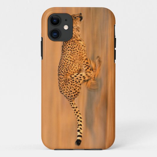 Cheetah 4 Case-Mate iPhone case (Achterkant)