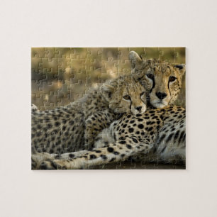 Cheetah, Acinonyx jubatus, met cub in de Masai 2 Legpuzzel