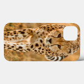 Cheetah (Acinonyx Jubatus) Portrait, Maasai Case-Mate iPhone Case (Achterkant (horizontaal))