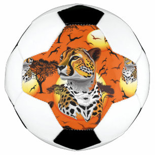 Cheetah African Feline Wild Animal