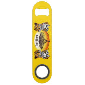 Cheetah African Feline Wild Animal (Devant)