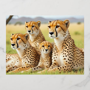 Cheetah Animal Natuur Wildlife Affection Caring Folie Feestdagen Briefkaart