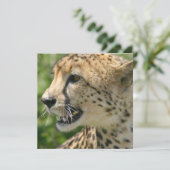 Cheetah Attack Invitation Kaart (Staand voorkant)