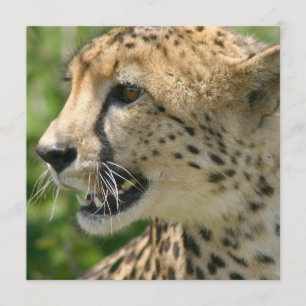 Cheetah Attack Invitation Kaart