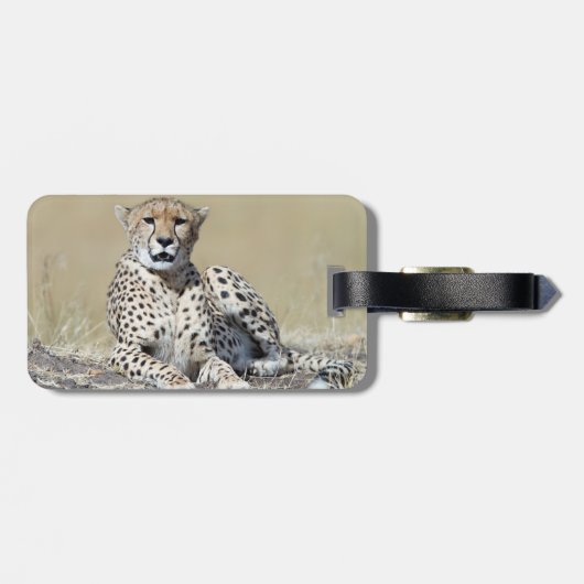 Cheetah Bagagelabel (Achterkant horizontaal)