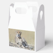 Cheetah Bedankdoosjes (Geopend)