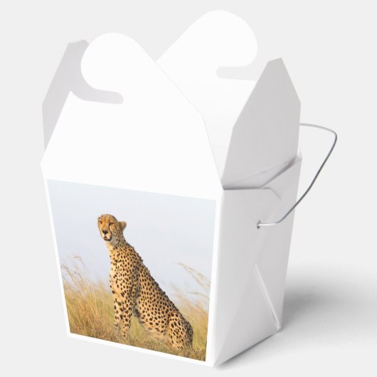 Cheetah Bedankdoosjes (Geopend)