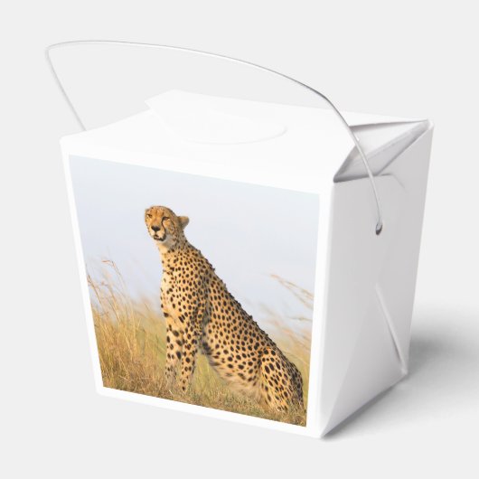 Cheetah Bedankdoosjes (Achterkant)