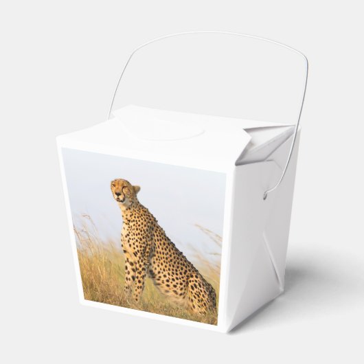 Cheetah Bedankdoosjes (Voorkant Zijde)