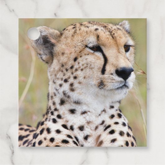 Cheetah Bedankjes Labels (Voorkant)