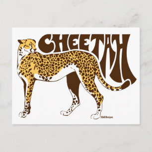 Cheetah Briefkaart