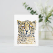 Cheetah Briefkaart (Staand voorkant)