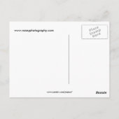 Cheetah Briefkaart (Achterkant)