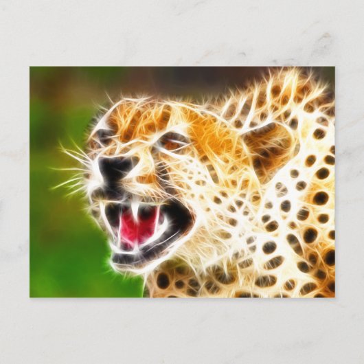 Cheetah Briefkaart (Voorkant)