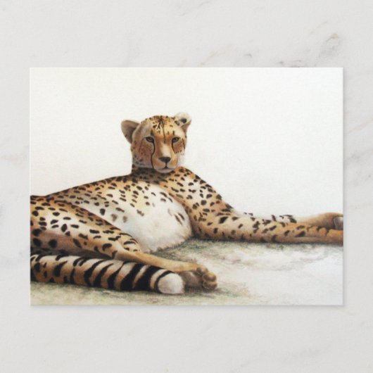 Cheetah Briefkaart (Voorkant)