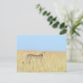 Cheetah Briefkaart (Staand voorkant)