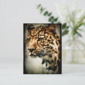 Cheetah Briefkaart (Staand voorkant)