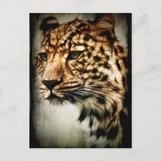 Cheetah Briefkaart (Voorkant)